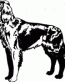 Dog Breed Decal 56a