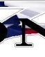 Donzi Texas Flag Decal Sticker 10