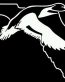 FLORIDA DUCK HUNTING DECAL