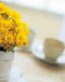 Flowers and Plants Vinyl Wall Art 109