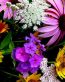 Flowers and Plants Vinyl Wall Art 112