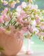 Flowers and Plants Vinyl Wall Art 174