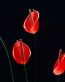 Flowers and Plants Vinyl Wall Art 190