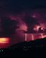 Forces of Nature Adhesive Wall Art 39