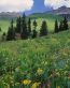 Landscape Vinyl Wall Graphic Decals 43