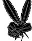 lva Decal