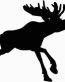 Moose Hunting Decal Sticker 1