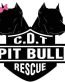 Pitbull Graphics 7