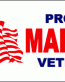 Proud Service MARINE Veteran Rectangular Full Color Bumper Sticker