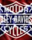 Rebel Flag H D Sticker