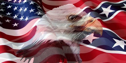 RWG rebel flag eagle USA flag rear window see thru graphic