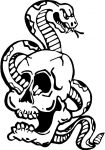 skull snake