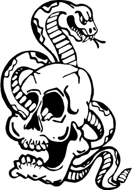 skull snake