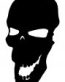 Skull Vinyl Decal Sticker 78
