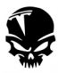 tesla-skull die cut decal