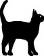 Black Cat Decal