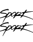 Sport brush decal