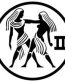 Gemini Decal