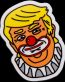 2020 TRUMP political sticker  03