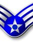 Air Force Wings and Star Patch Color Sticker