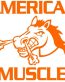 American Muscle Decal