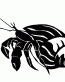 Hermit Crab Decal