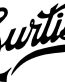Curtiss Aircraft logo