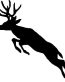 Deer Decal 09