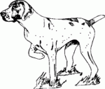 Dog Breed Decal 08