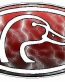 Duck Hunting Oval Decal 66 - Lightning Red