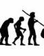 Evolution Sport Stickers SOFTBALL CATCHER