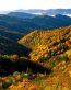 Fall Colors Adhesive Wall Graphics 30