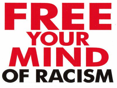 FREE YOUR MIND OF RACISM STICKER - Pro Sport Stickers