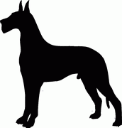 Grate Dane Dog Breed Decal 41