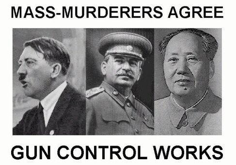 Gun Control Works