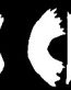 hick chick vinyl decal sticker for vehicle redneck girl southern gal