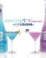 Hpnotiq Bottles Rectangular Decal