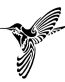 hummingbird tribal decal