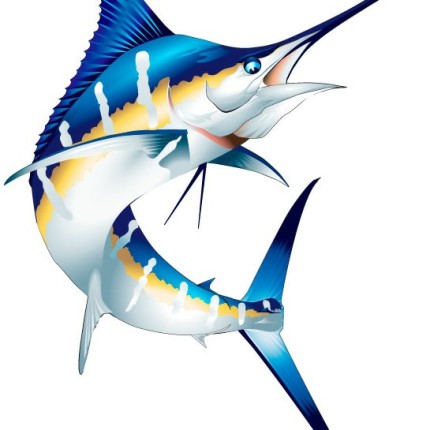 Marlin Color Fish Sticker 1