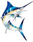 Marlin Color Fish Sticker 1
