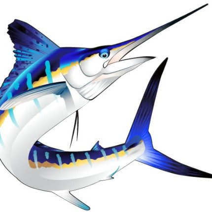 Marlin Color Fish Sticker 5