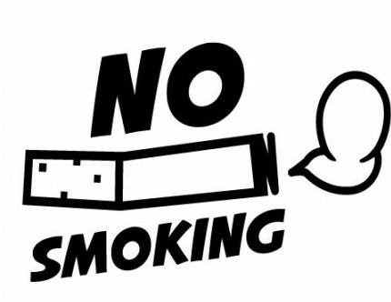 No Smoking Funny Vinyl Car Decal