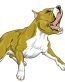 Pitbull Graphics 3