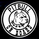 Pitbull On Board Window Decal