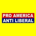 pro america anti liberal bumper sticker