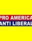 pro america anti liberal bumper sticker