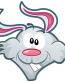 rabbit toon