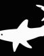 Shark Vinyl Hunting Sticker