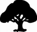 Tree Decal 3