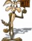 Wile E WTF Coyote Adhesive Vinyl Decal Sticker